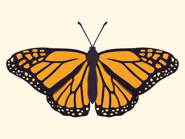 互动玩法《糖心vlog电脑版》挑战赛道暴击