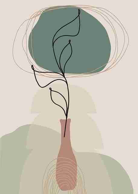 蘑菇影视官网——冷启动粉丝经济终极剖析